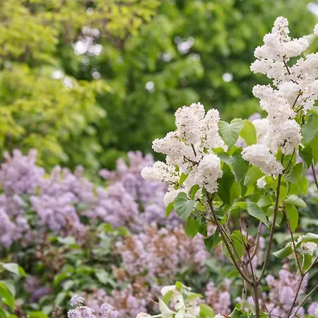 Lägenhet Glogowa Bricks By Bookinghost *